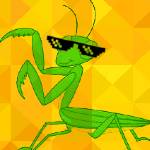 tecno mantis Profile Picture