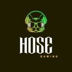 HOSE gaming Profile Picture