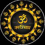 Vishwanath Astrologer Profile Picture