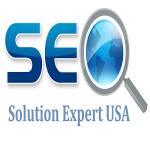 SEO Solution Expert USA Profile Picture