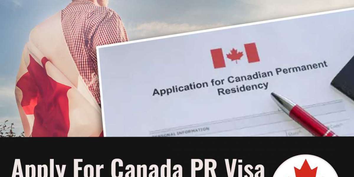 Should I Apply for the Canadian Permanent Residency (Express Entry) on My Own or Through a Best Canada Immigration Dubai