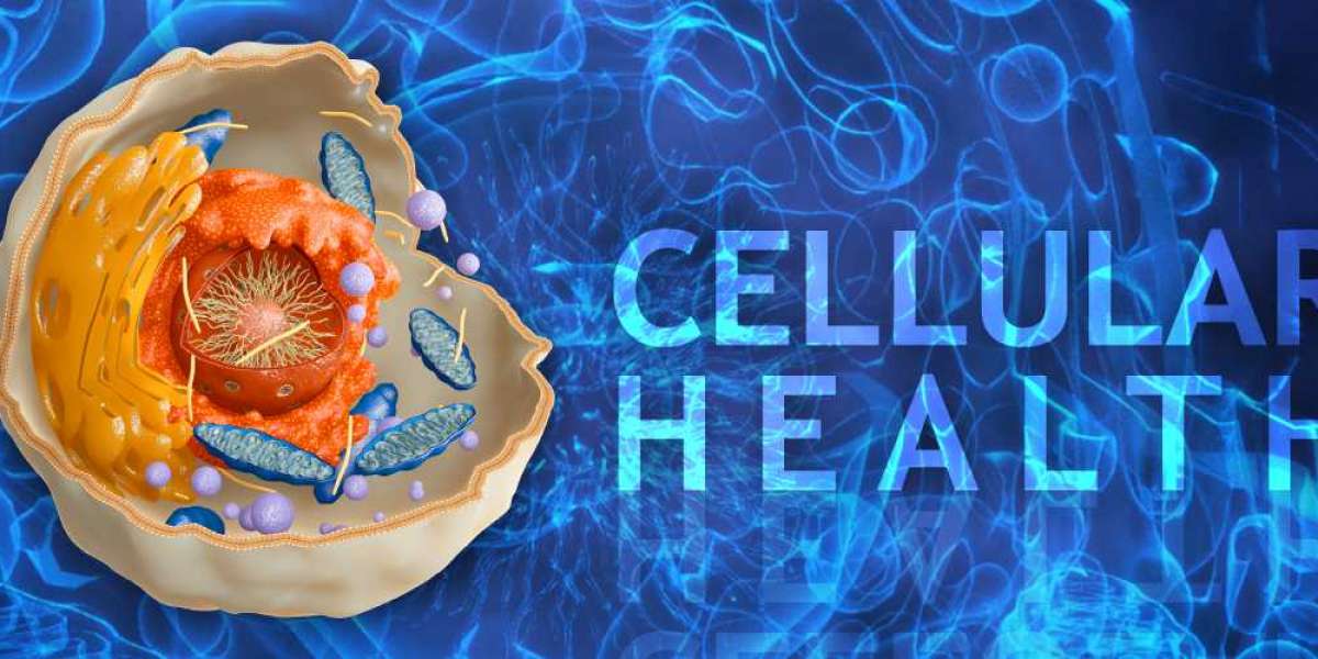 Cellular Health Accelerator - Detailed Reviews & Official Report