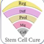 Stem Cell Cure Profile Picture