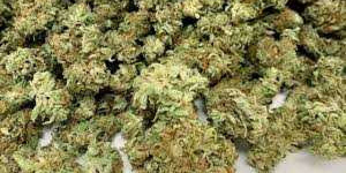 Buy The Best Indica Cannabis Seeds Online
