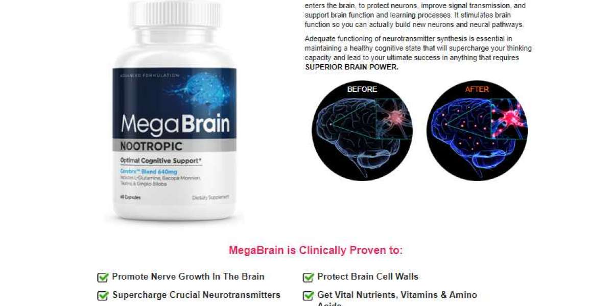 What Are The MegaBrain Nootropic Side Effects?