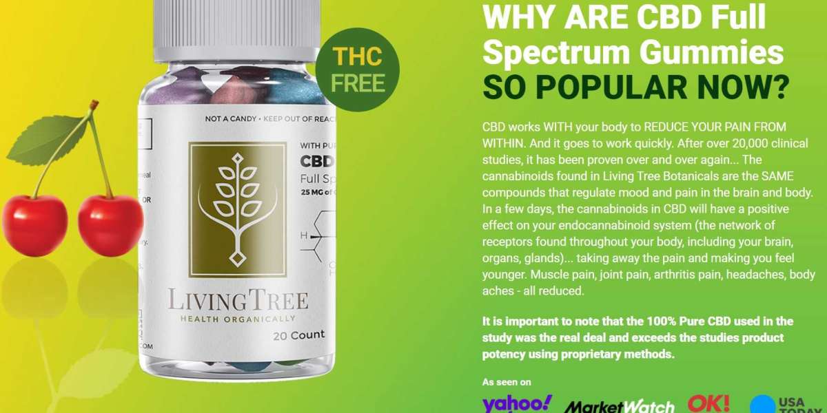 Living Tree CBD Gummies Introduction: How To Order In The USA?