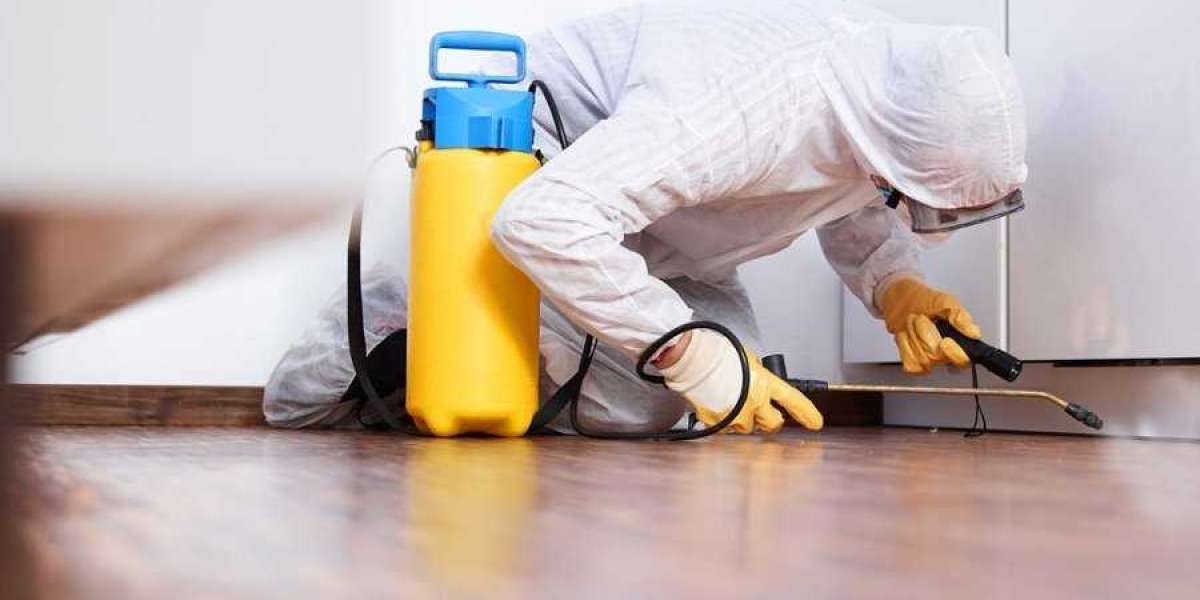 Top 10 Most Common Questions About Cleaning Services