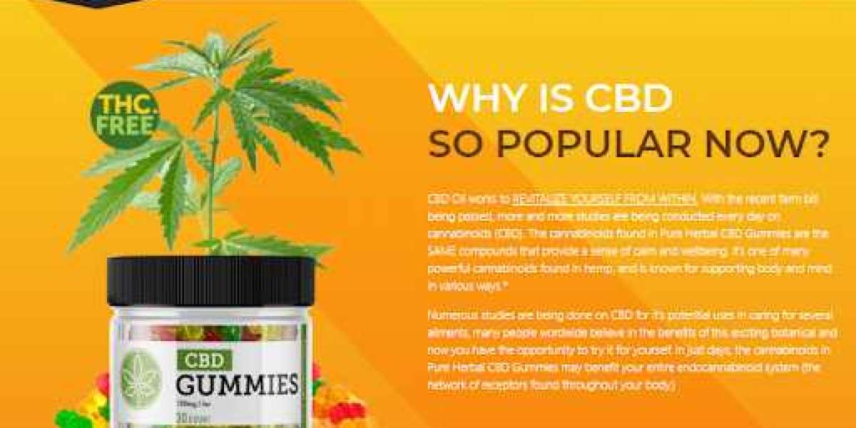 10 Things Your Mom Should Have Taught You About Wellution Hemp Gummies