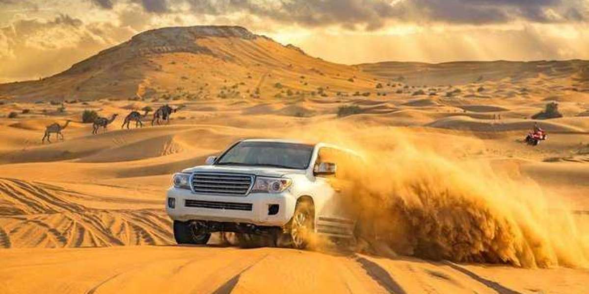 All You Need To know about Evening Desert Safari Dubai