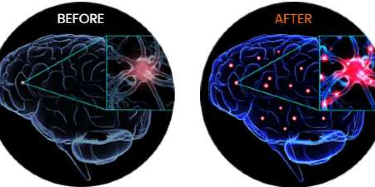 Brain Focus Boost| Mushroom Brain Focus Boost Reviews| Brain Focus Boost Ingriends and Price