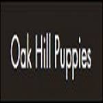 Oak Hill Puppies Profile Picture