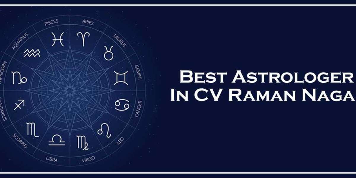 Best Astrologer In CV Raman Nagar | Famous Astrologer