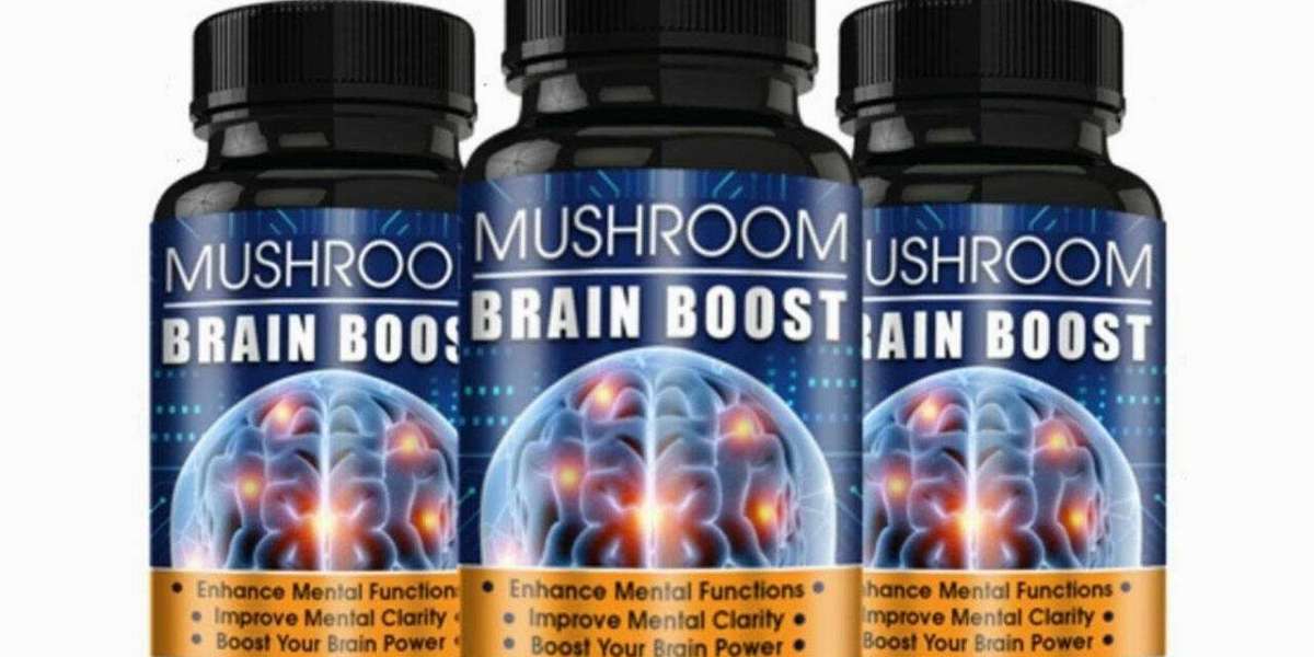 Mushroom Brain Focus 2022: Does This Mushroom Brain Focus Really Work!