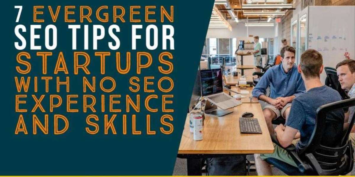7 Evergreen SEO Tips for Startups with No SEO Experience and Skills