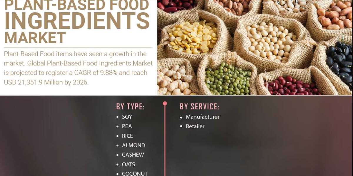 Plant-Based Food Ingredients Market Forecast Service-Types, Development, Market Share, User-Demand, Industry Size 2027