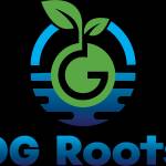 ogroots ogroots Profile Picture
