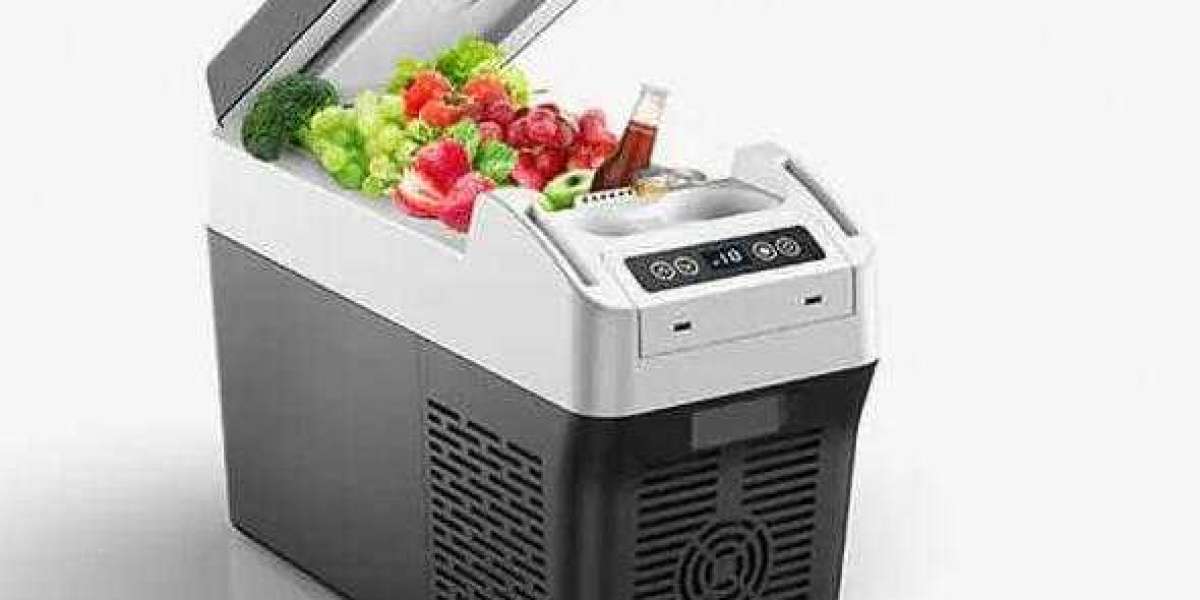 Portable Car Refrigerator Or Thermoelectric Cooler Which Is Better?