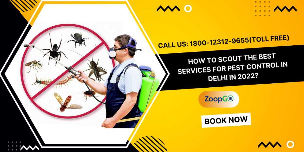 How to Scout the Best Services for Pest Control in Delhi in 2022?