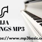 Naija songs mp3 Profile Picture