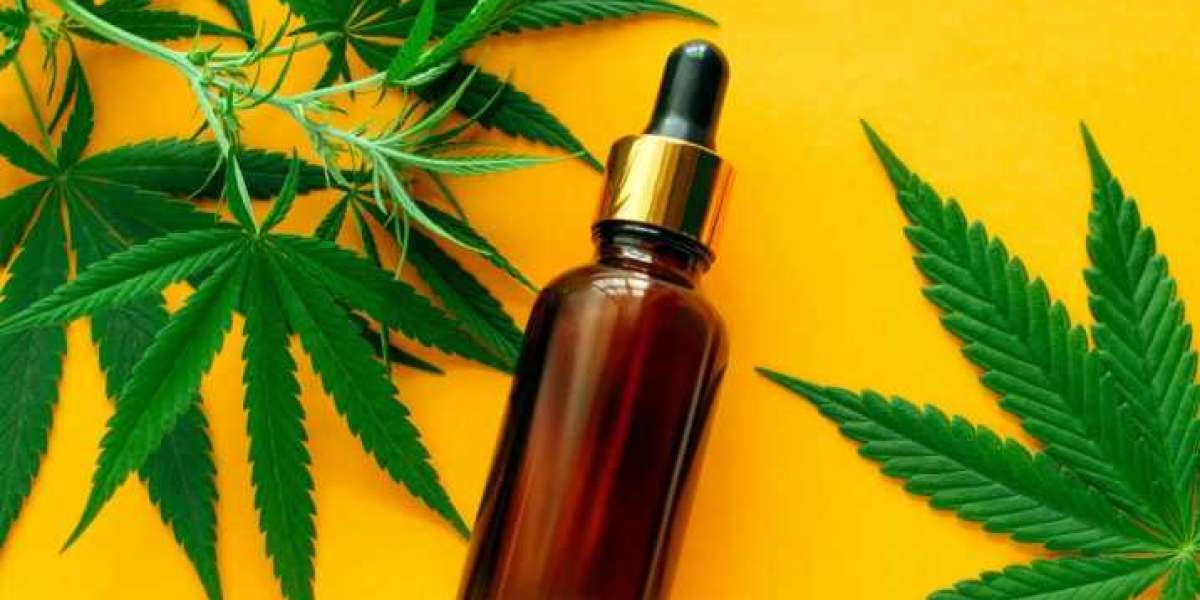 Cannaverda CBD Oil Reviews: 100% Effective Ingredients Or Scam?
