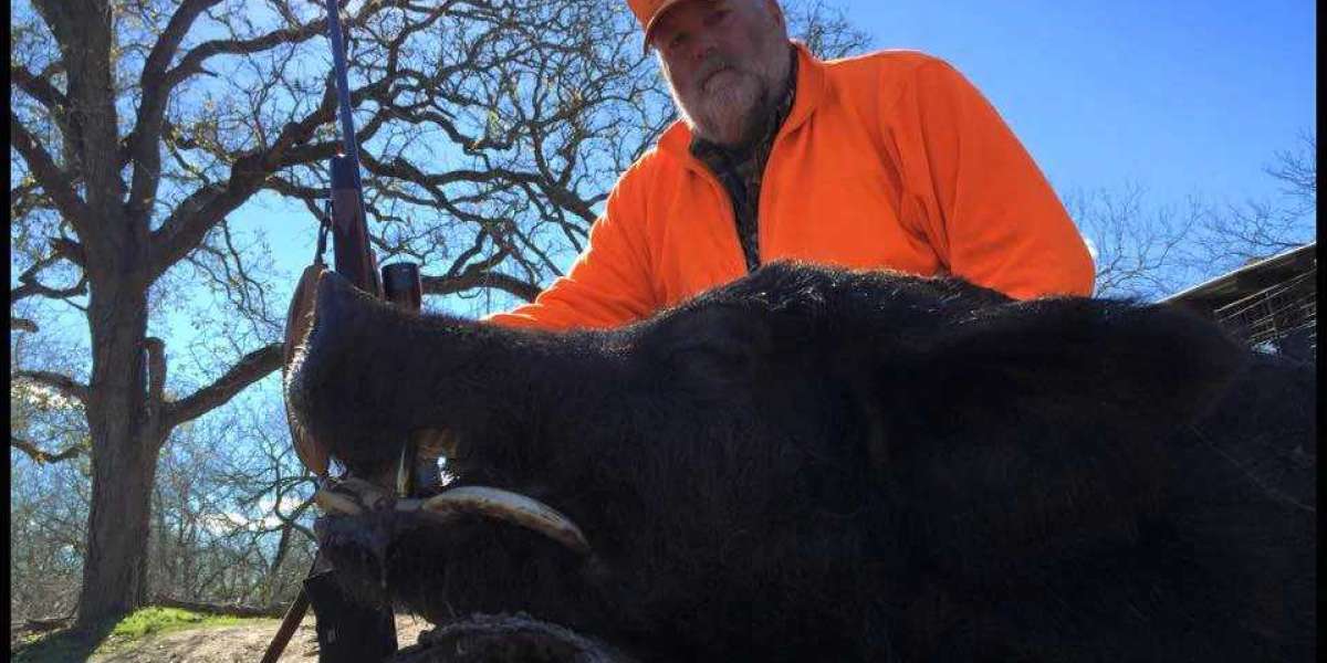 Steps To Book Affordable Texas Deer Hunts For Your Hunting Trip