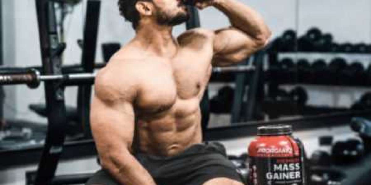 Best Mass Gainer in India - Buyer's Guide