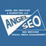 Angel SEO Services Profile Picture