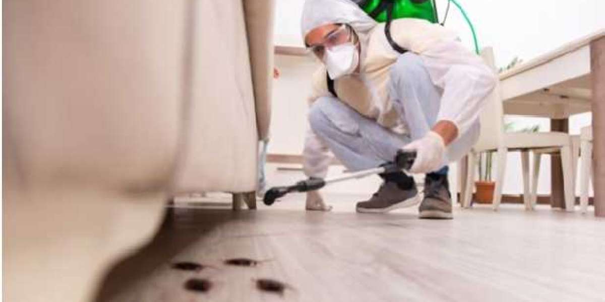 Why pest inspection is regular needed in your home?