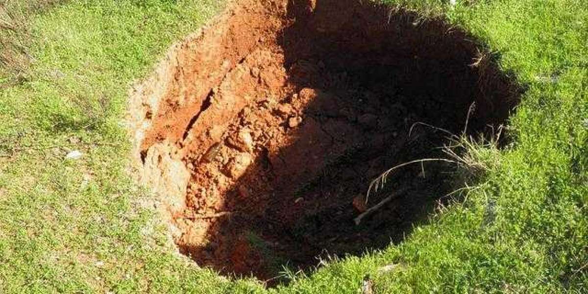 What Are Sinkhole Warning Signs and When to Contact an Inspector ?
