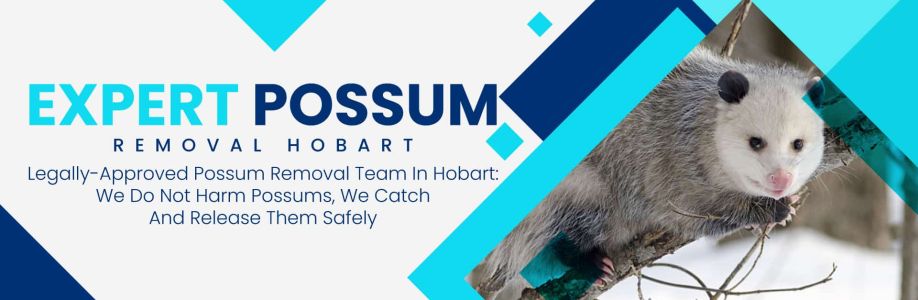 Humane Possum Removal Hobart Cover Image