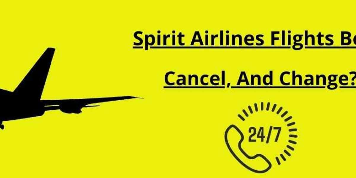 How to Book a Flight with a Spirit Airlines ticket?