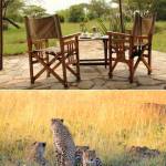 Mapito Camp Serengeti Profile Picture