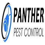 Panther Possum Removal Brisbane Profile Picture
