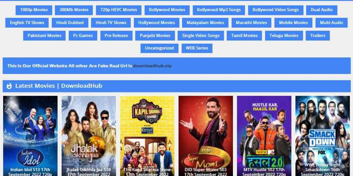 DownloadHub | is a pirate site where people watch the latest Bollywood movies