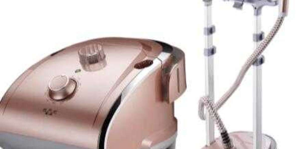 Household Appliance Vertical Standing Electric Garment Steam Iron