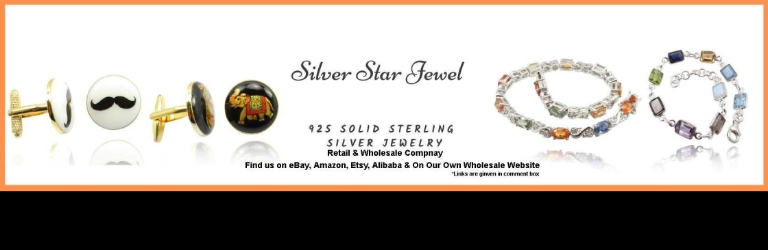 Silver Star Jewel Cover Image