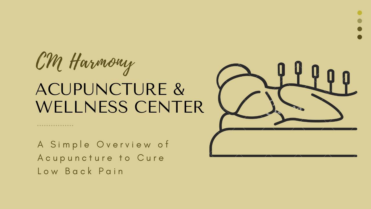 Overview of Acupuncture to Cure Low Back Pain | edocr