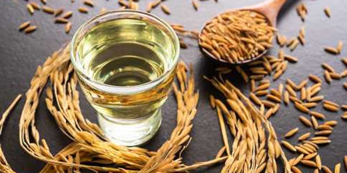 Rice Bran Oil Market Share, In-Depth Players, Share Estimation, Future Investments and Regional Forecast