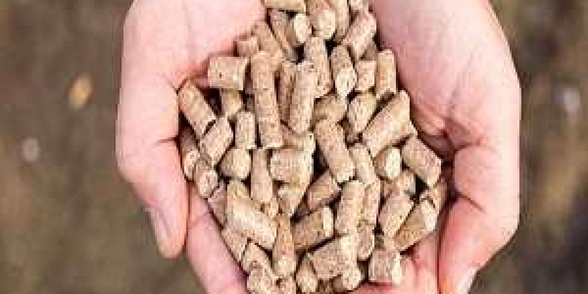 Compound Feed Market Trends, Worldwide Prospects, Crucial Players & Forecast Period