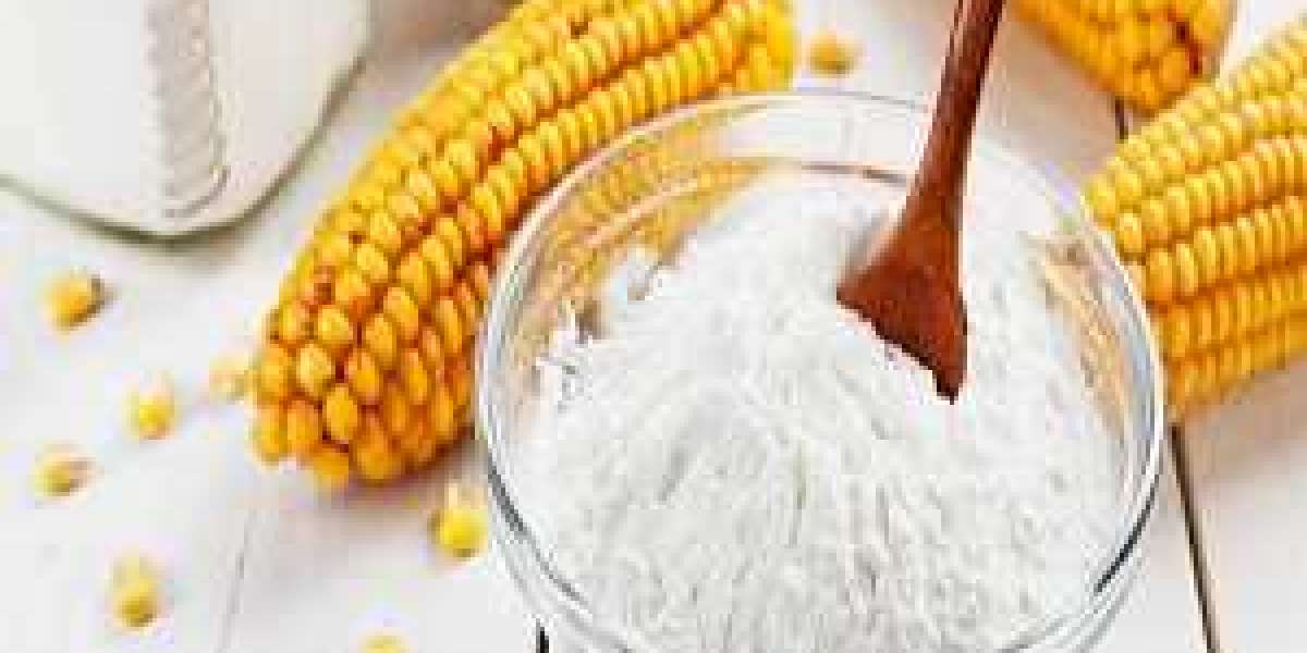 Corn Starch Market Analysis With Top Suppliers, Business Development Market and Regional Forecast