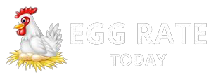 NECC Egg Rate Today – Egg Rate Today Barwala & Namakkal