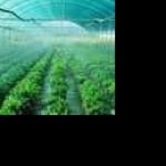 agrasen agrotech Profile Picture