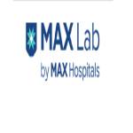 Max lab Profile Picture