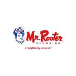 Mr. Rooter Plumbing of Tampa Profile Picture