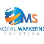 Digital Marketing Solution Pvt Ltd Digital Marketing Solution Pvt L Profile Picture