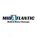 Moldan Water Damage Services Profile Picture